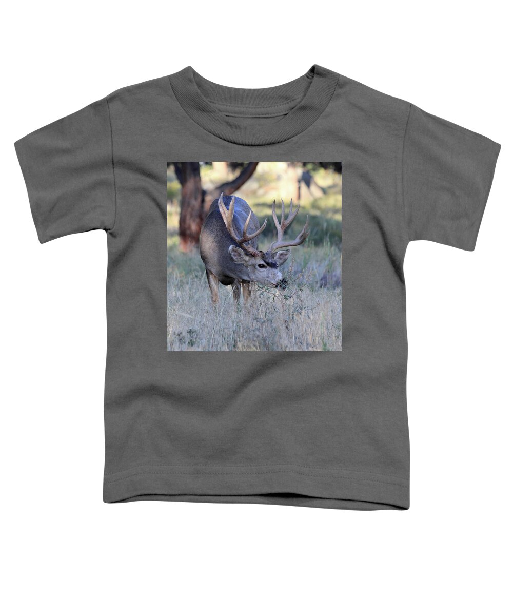 Mule Deer Toddler T-Shirt featuring the photograph Dinner Time by Shane Bechler