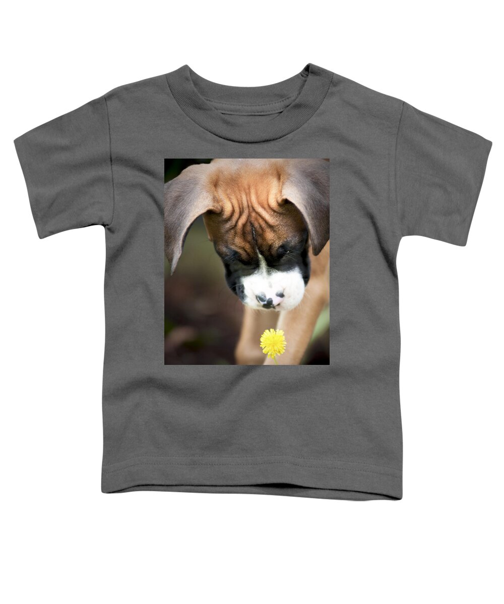 Boxer Toddler T-Shirt featuring the photograph Discovery by Jeff Mize