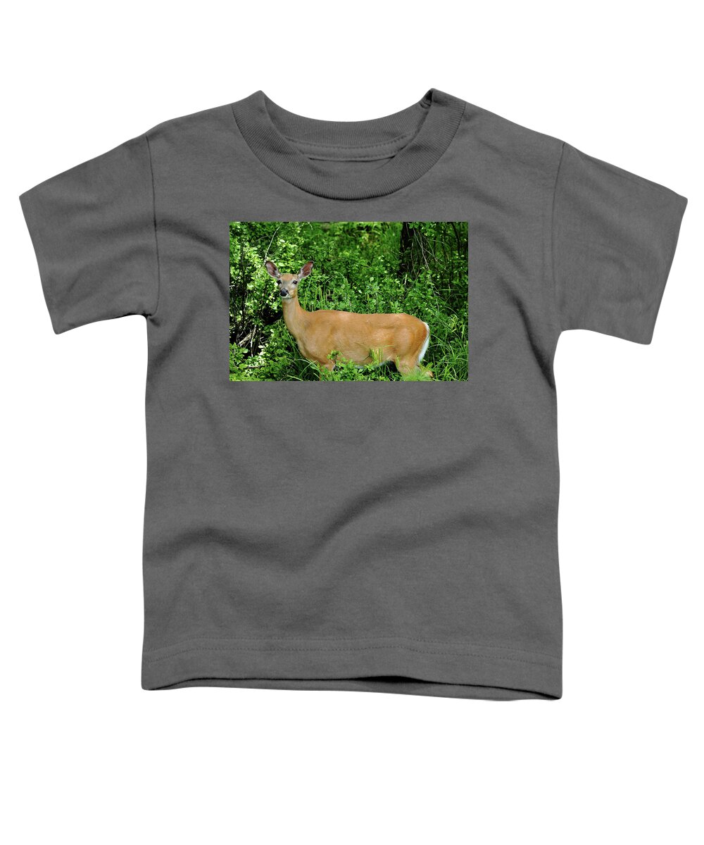 Deer Toddler T-Shirt featuring the photograph Doe Eyes by Debbie Oppermann