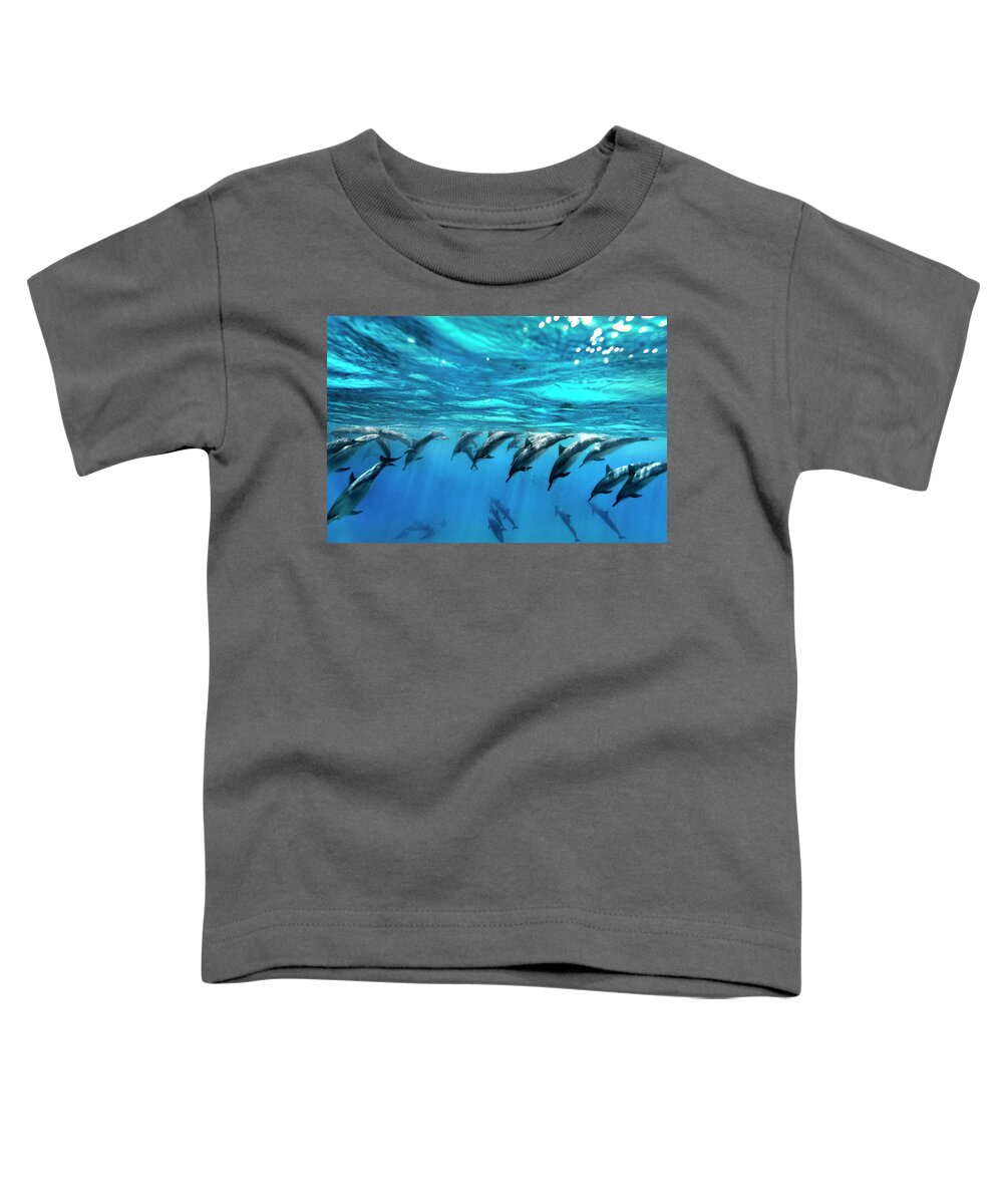 Sea Toddler T-Shirt featuring the photograph Dolphin Dive by Sean Davey