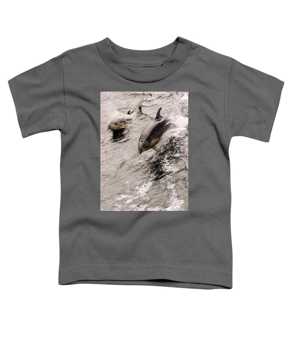 Dolphin Toddler T-Shirt featuring the photograph Dolphins by Werner Padarin