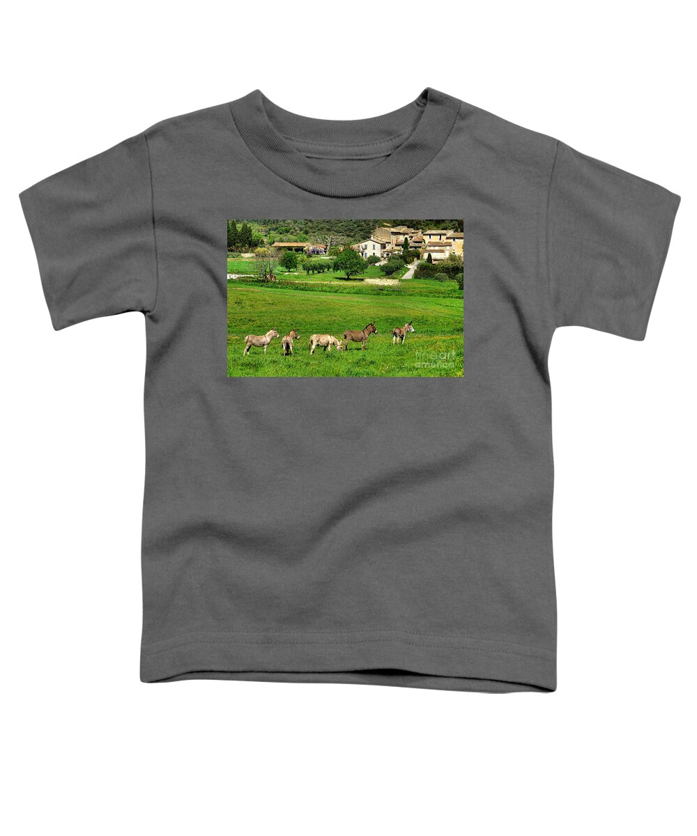 Provence Toddler T-Shirt featuring the photograph Donkeys in Provence by Olivier Le Queinec