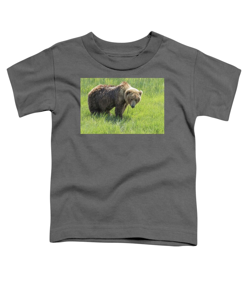 Brown Bear Toddler T-Shirt featuring the photograph Don't Mess with Mama Bear by Belinda Greb