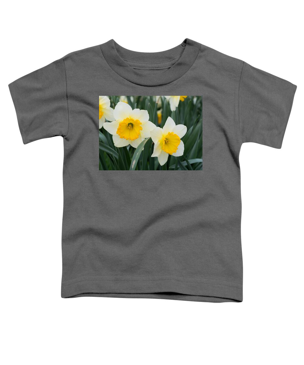 Daffodils Toddler T-Shirt featuring the photograph Double Daffodils by Holden The Moment