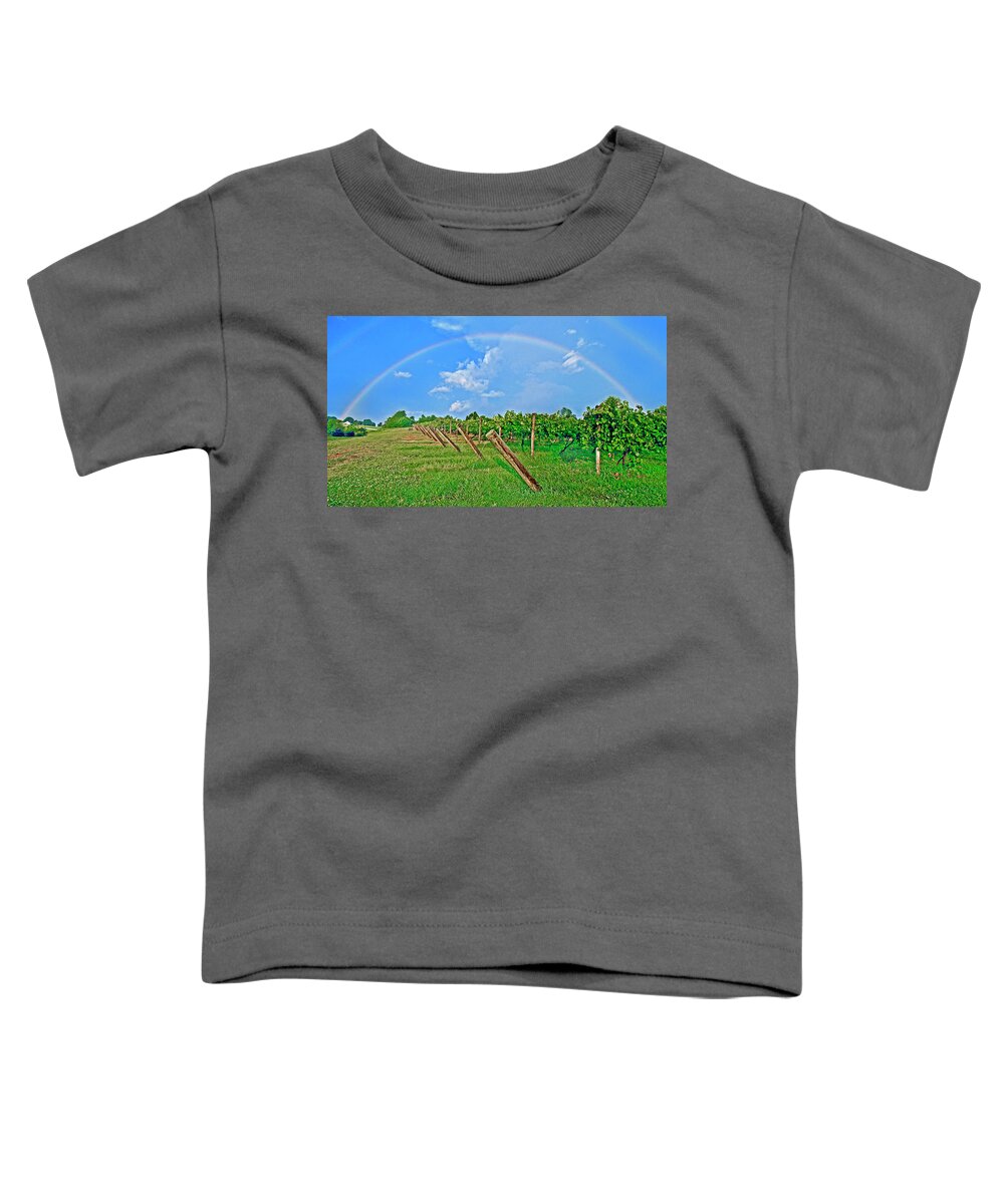 Double Rainbow Toddler T-Shirt featuring the photograph Double Rainbow Vineyard, Smith Mountain Lake by The James Roney Collection