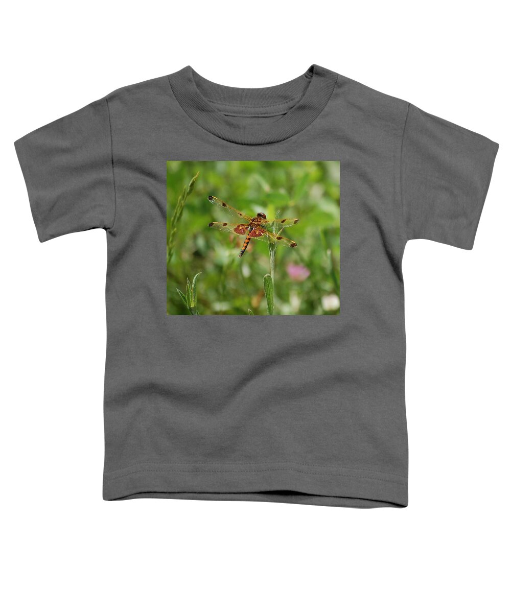 Dragon Fly Toddler T-Shirt featuring the digital art Dragon Flight by David Lane