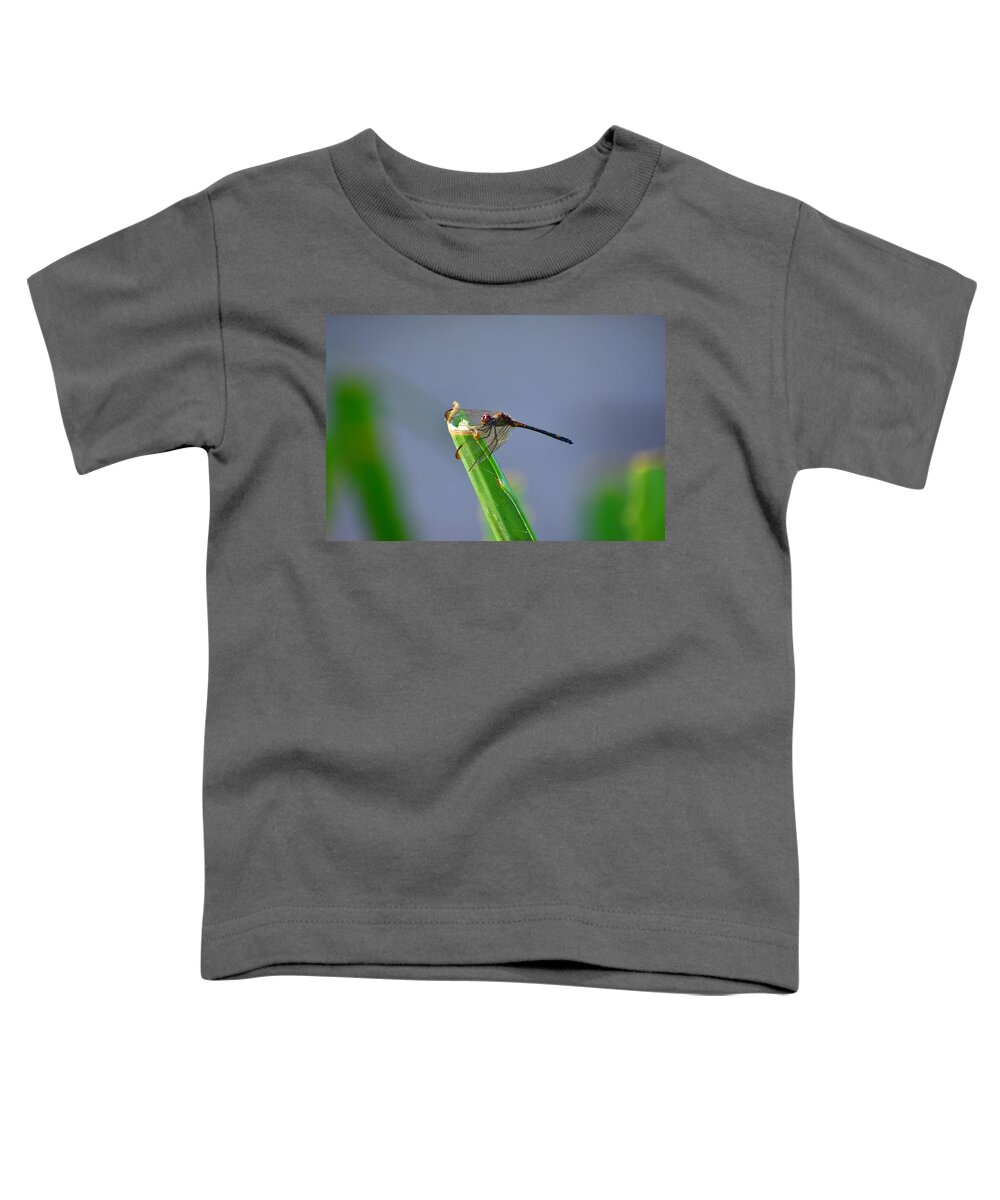 Dragonfly Toddler T-Shirt featuring the photograph Dragonfly in Costa Rica by Richard Cheski