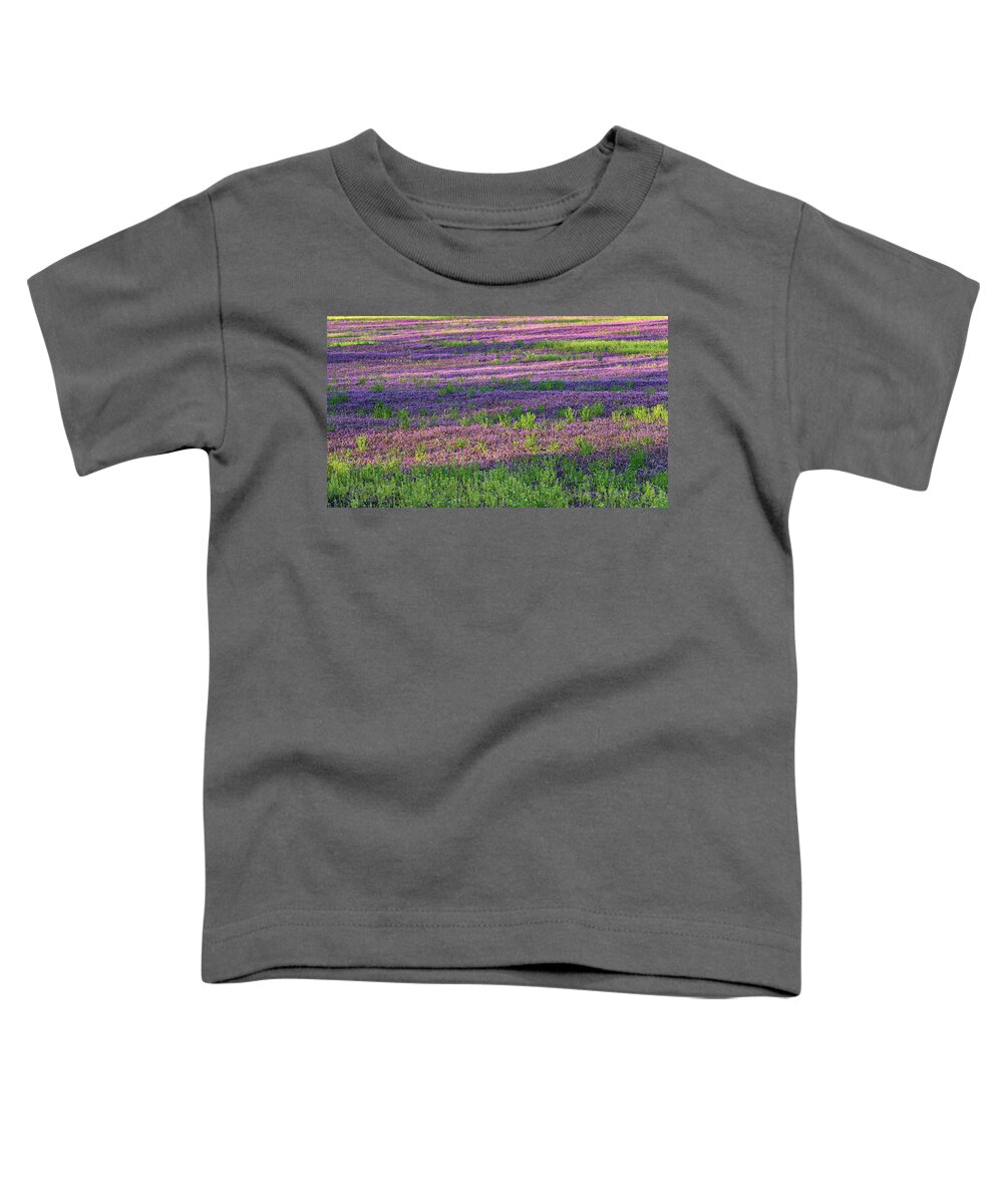 Spring Toddler T-Shirt featuring the photograph Dreaming of France by Holly Ross