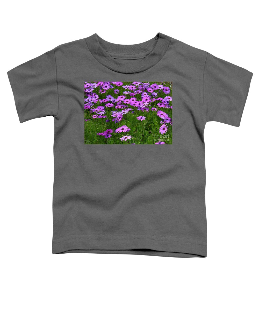 Floral Toddler T-Shirt featuring the photograph Dreaming of Purple Daisies by Carol Groenen