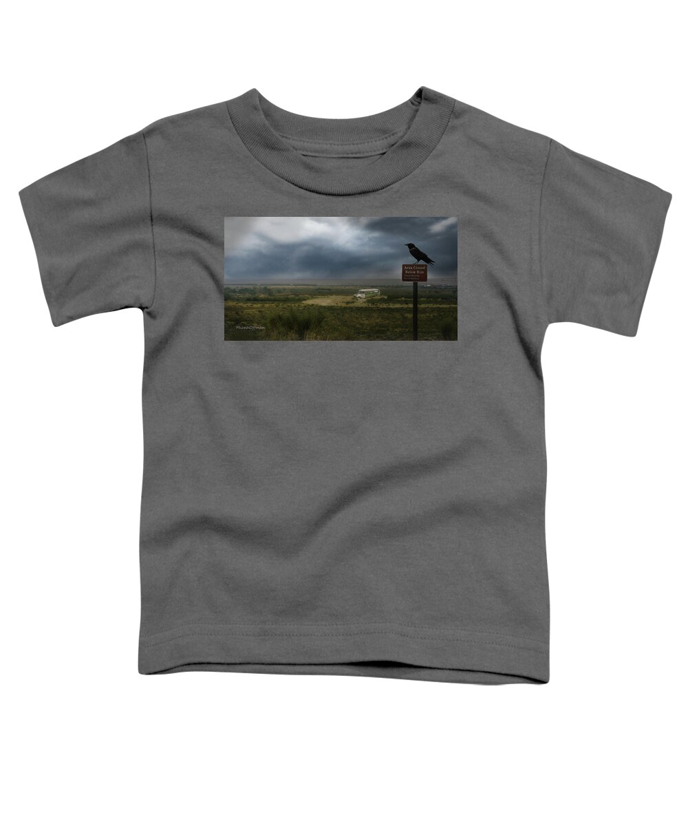Inspirational Toddler T-Shirt featuring the photograph Dreams and Songs by Micah Offman