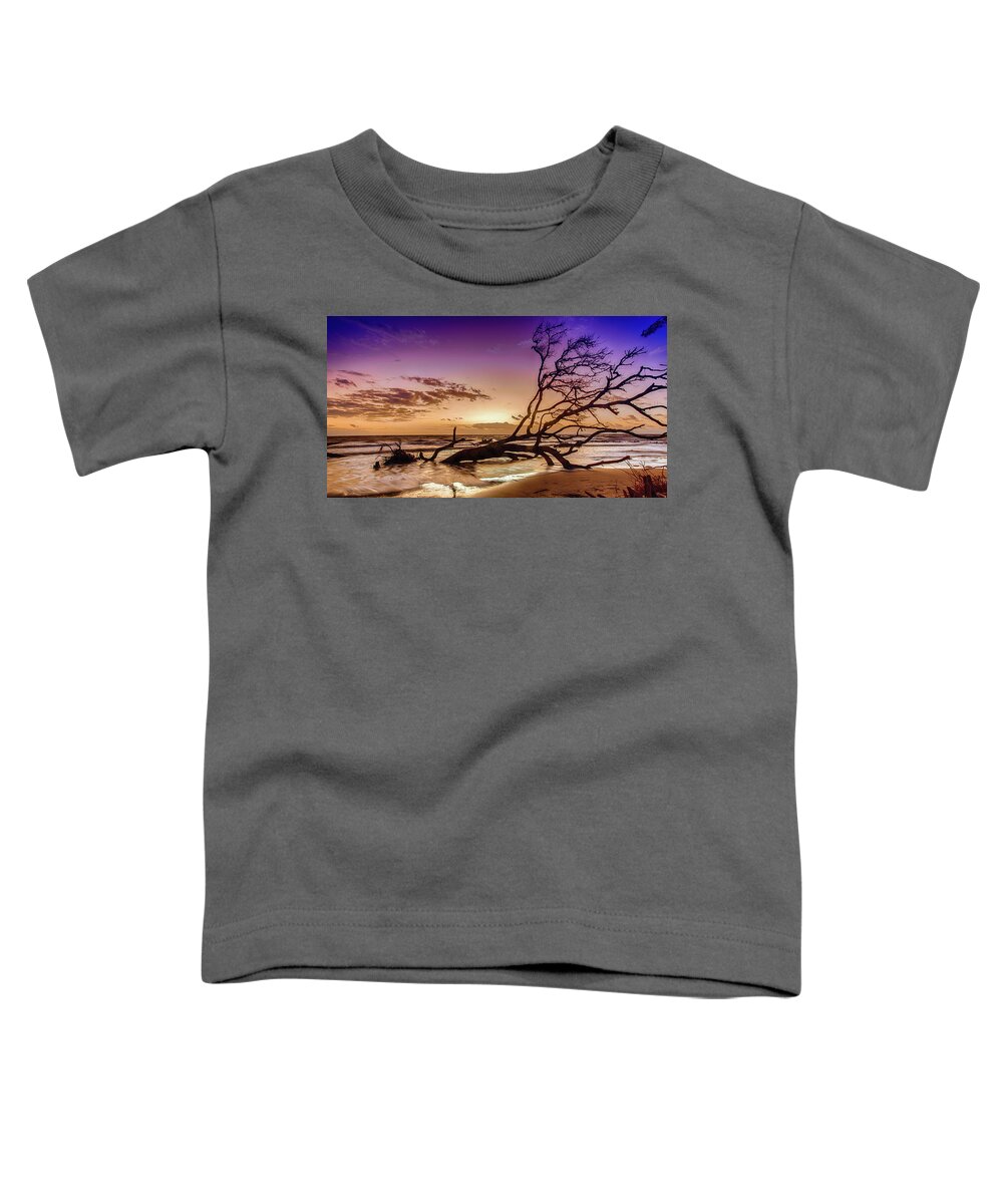 Landscape Toddler T-Shirt featuring the photograph Driftwood Beach 2 by Dillon Kalkhurst