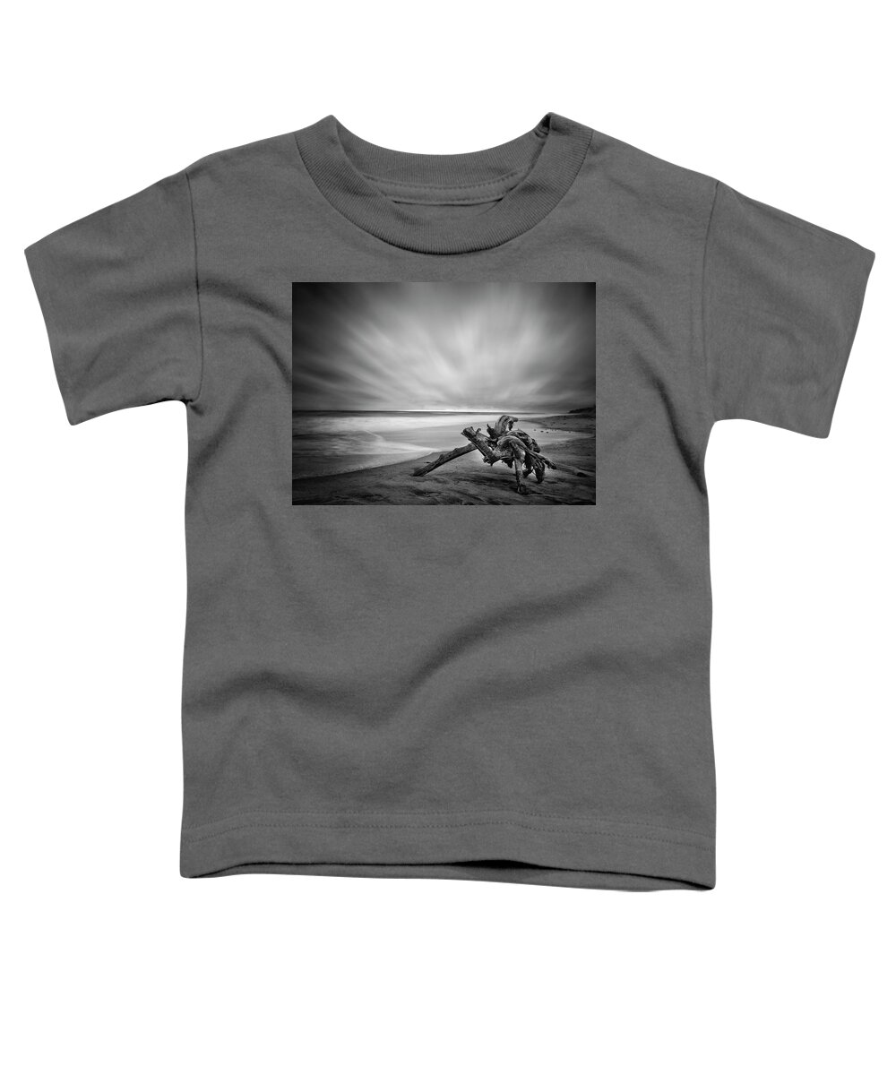 Lifeguard Toddler T-Shirt featuring the photograph Driftwood Del Mar Beach by Lawrence Knutsson