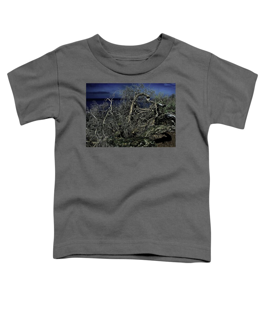 Tree Toddler T-Shirt featuring the photograph Driftwood on Shore by Joseph Hollingsworth
