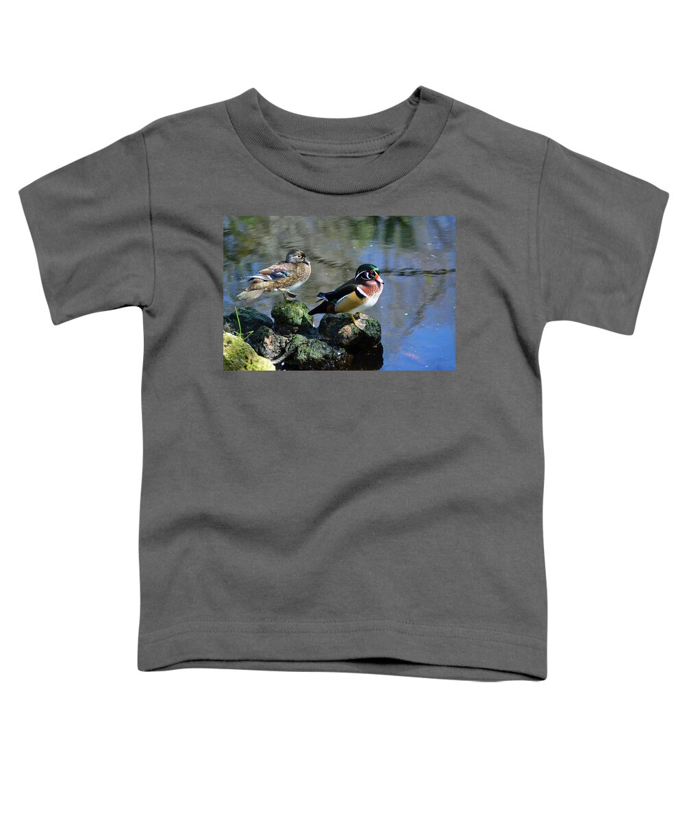 Duck Toddler T-Shirt featuring the photograph Ducks on Rocks by Aimee L Maher ALM GALLERY