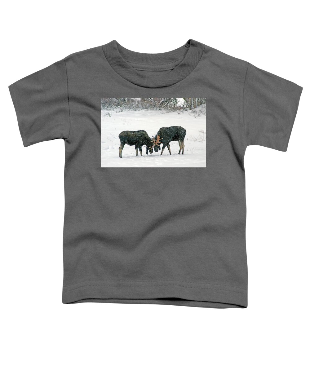 Duel Toddler T-Shirt featuring the photograph Dueling Moose by Ted Keller