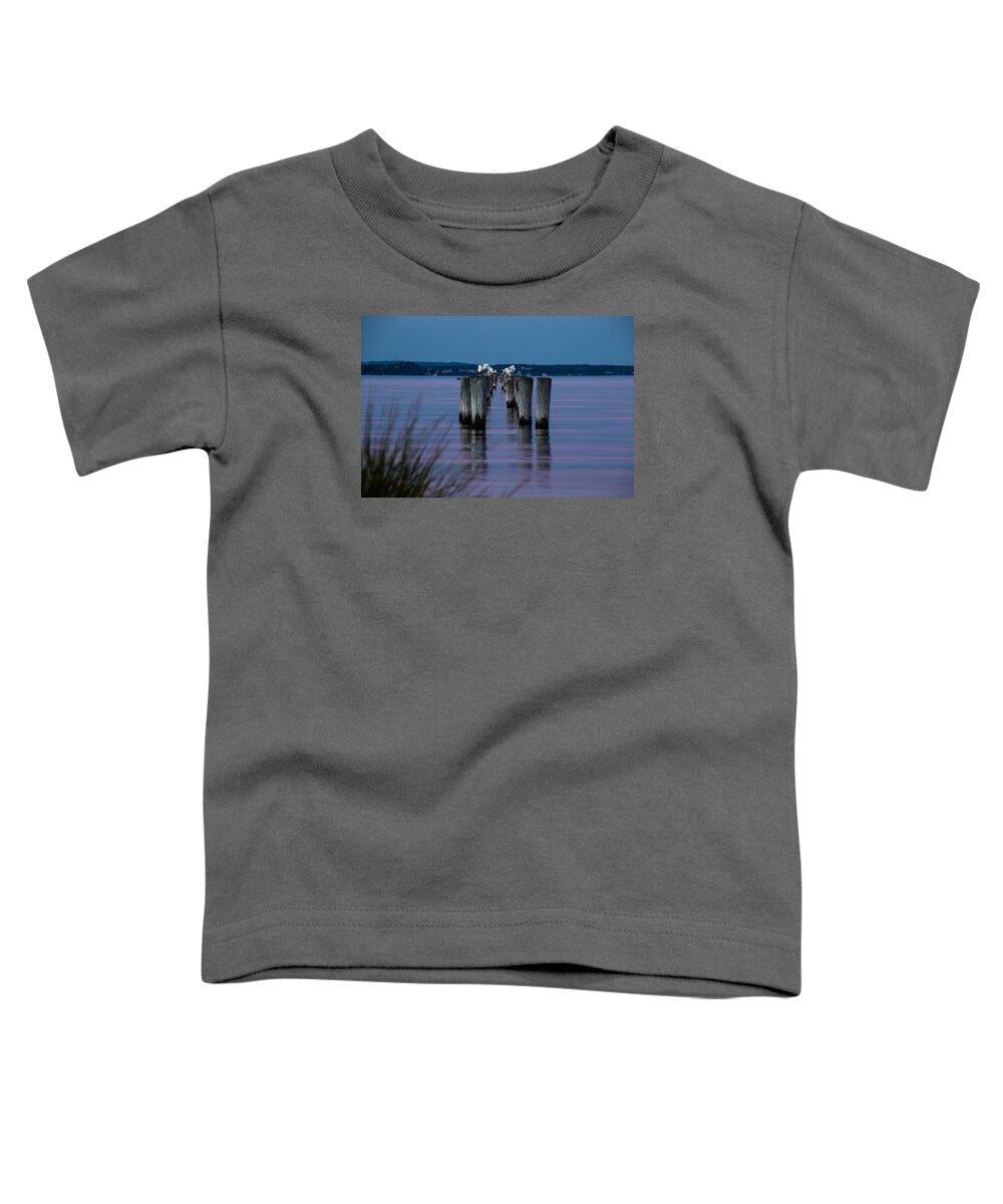 New Jersey Toddler T-Shirt featuring the photograph Dusk at Raritan Bay by SAURAVphoto Online Store