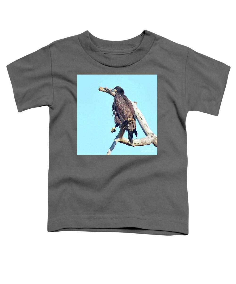 Bald Eagle Toddler T-Shirt featuring the photograph E9 relax by Liz Grindstaff