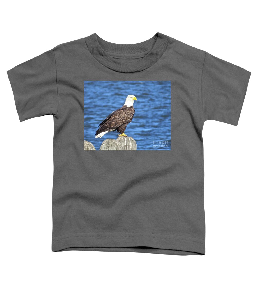 Eagle Toddler T-Shirt featuring the photograph Eagle at East Point by Nancy Patterson