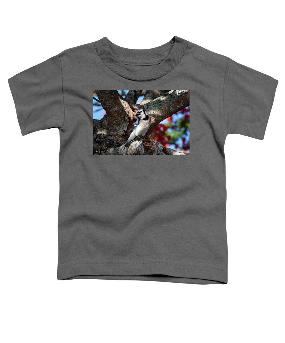 Florida Toddler T-Shirt featuring the photograph Eagle Lakes Park - Northern Blue Jay at Rest by Ronald Reid