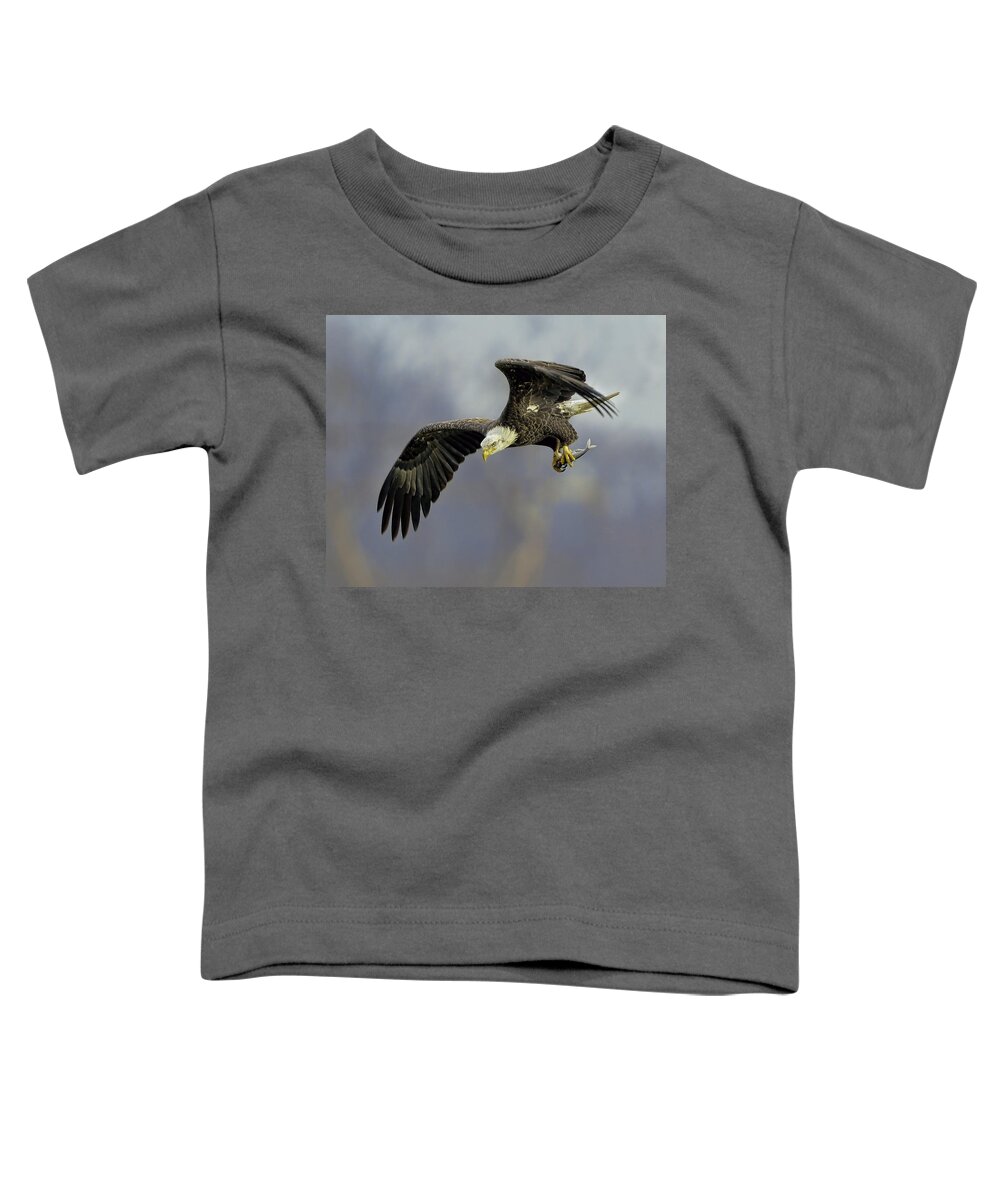 Eagle Toddler T-Shirt featuring the photograph Eagle Power Dive by William Jobes