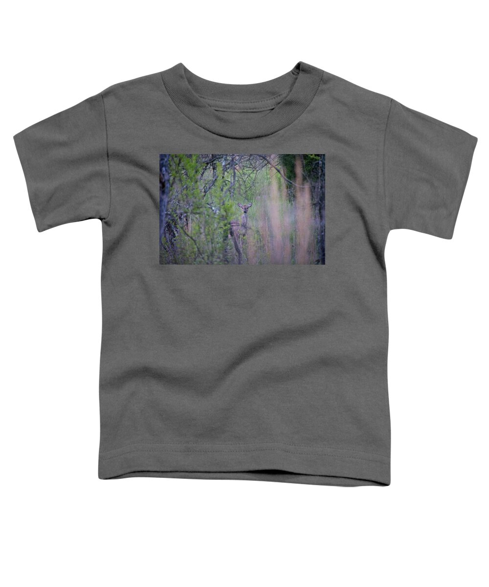 Wildlife Toddler T-Shirt featuring the photograph Early Morning Deer by John Benedict