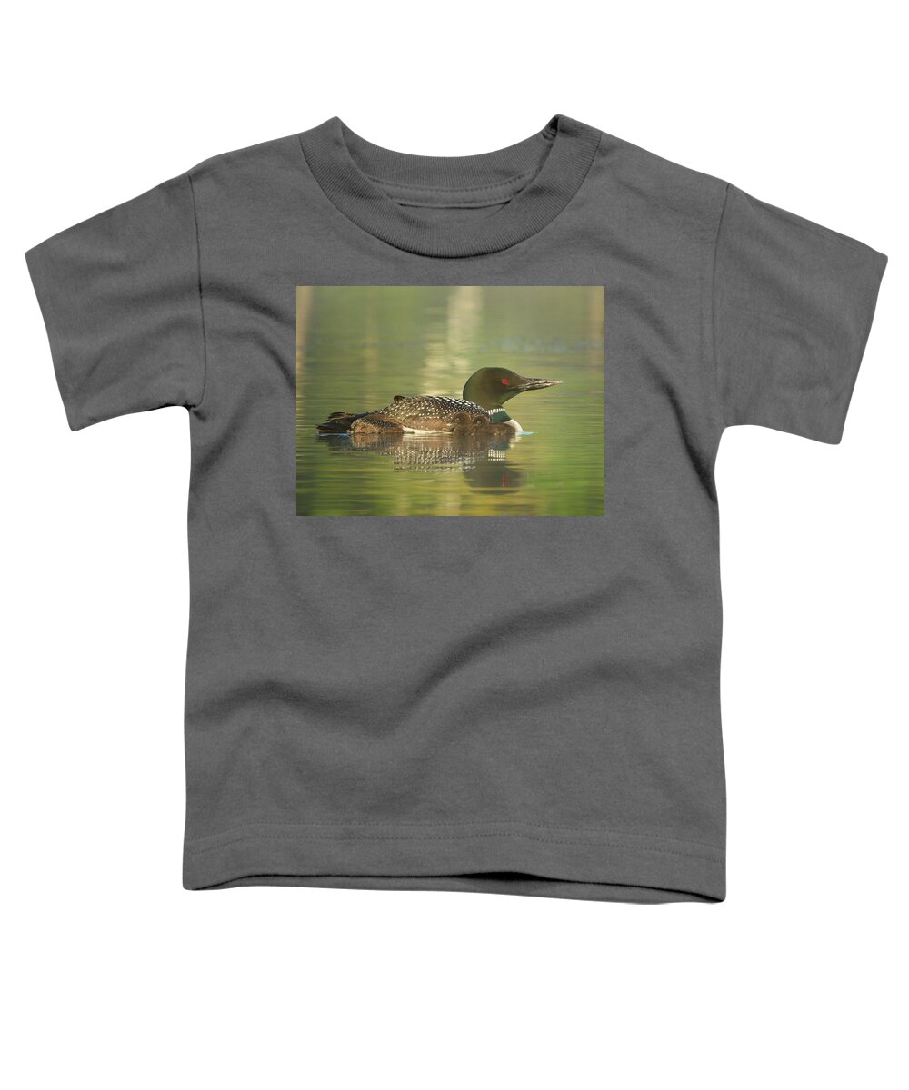 Loons Toddler T-Shirt featuring the photograph Early Morning Loons by Duane Cross