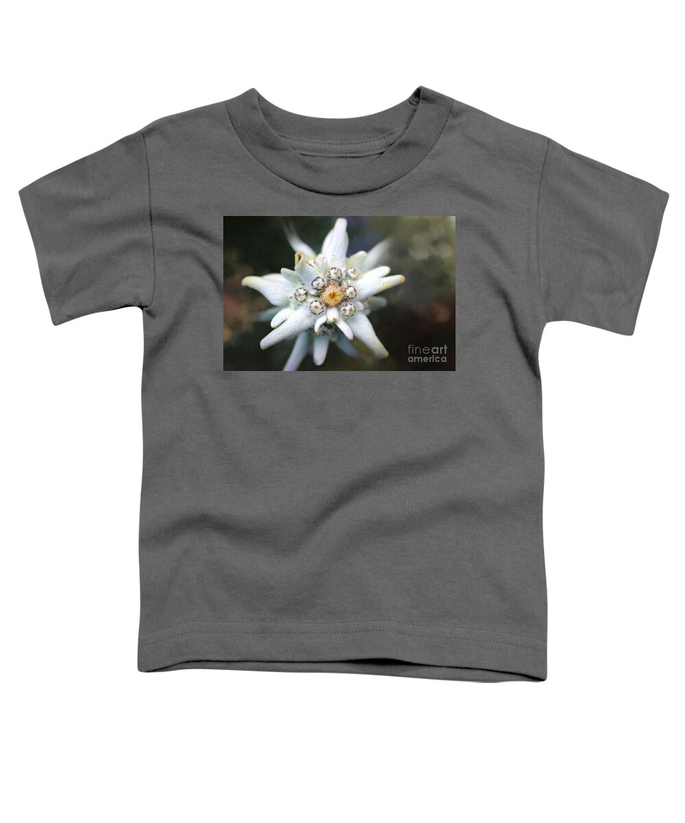 Photo Toddler T-Shirt featuring the photograph Edelweiss by Jutta Maria Pusl