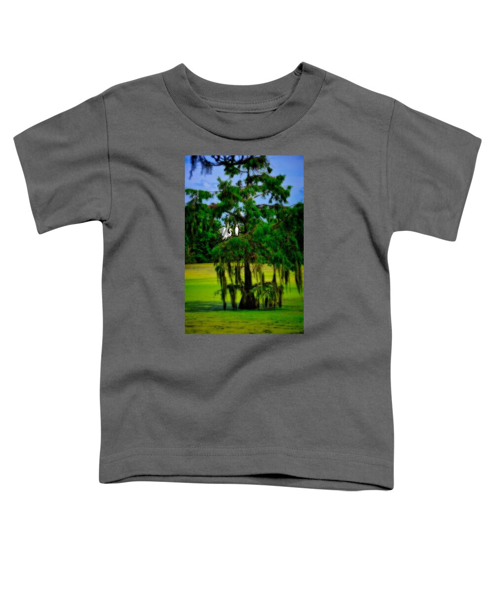 Birds Toddler T-Shirt featuring the photograph Egret Tree by Harry Spitz