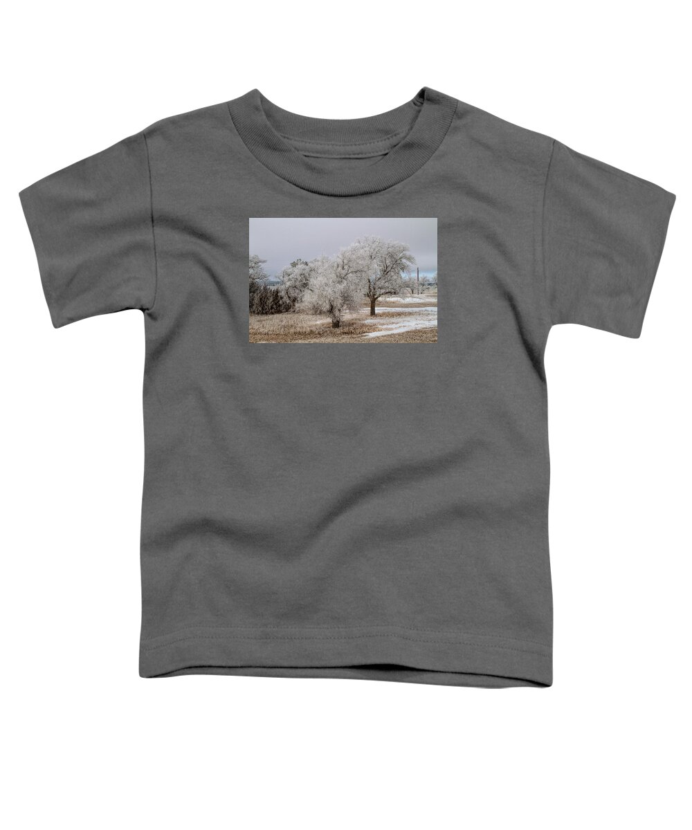Elm Tree Toddler T-Shirt featuring the photograph Elm Frosting by Alana Thrower