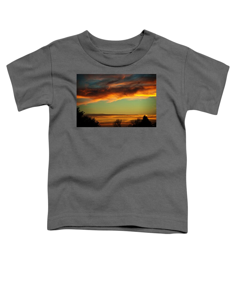Sunset Toddler T-Shirt featuring the photograph End Of Day by Ed Peterson