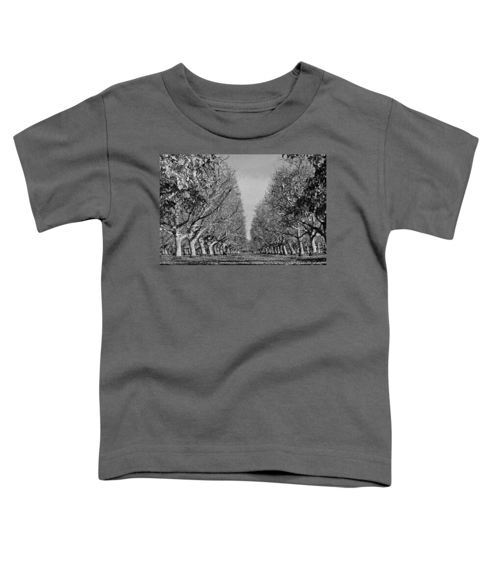 Orchard Toddler T-Shirt featuring the photograph English Walnut Orchard by Pamela Patch