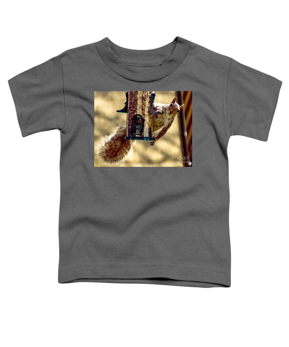 Bird Feeder Toddler T-Shirt featuring the photograph Equal Access by William Norton