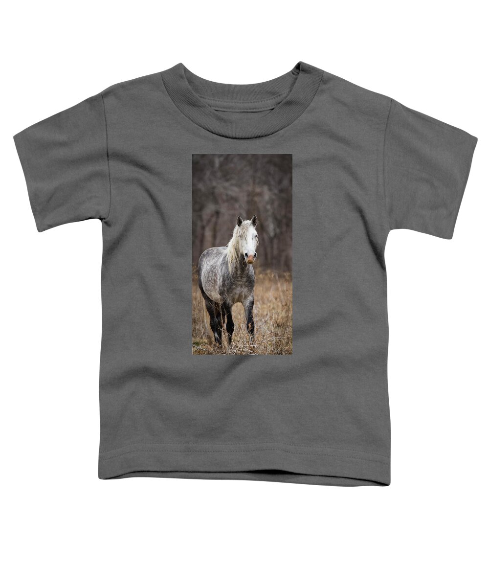 Horse Toddler T-Shirt featuring the photograph Escape by Holly Ross