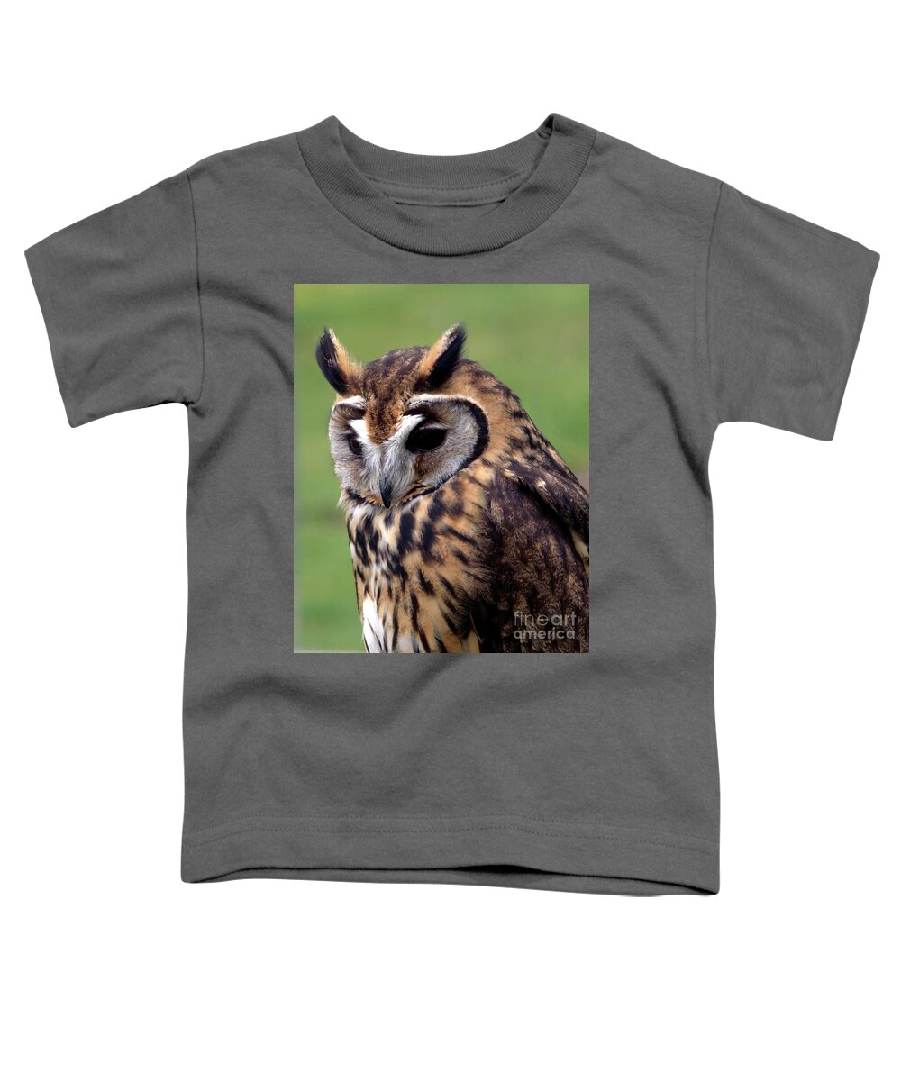 Owl Toddler T-Shirt featuring the photograph Eurasian Striped Owl by Stephen Melia