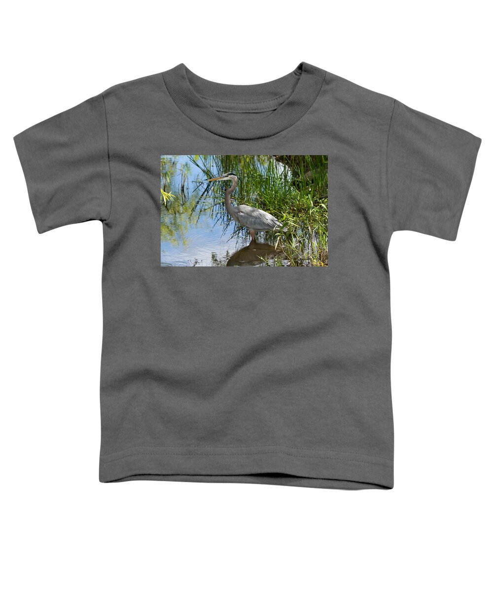 Everglades National Park Toddler T-Shirt featuring the photograph Everglades 572 by Michael Fryd