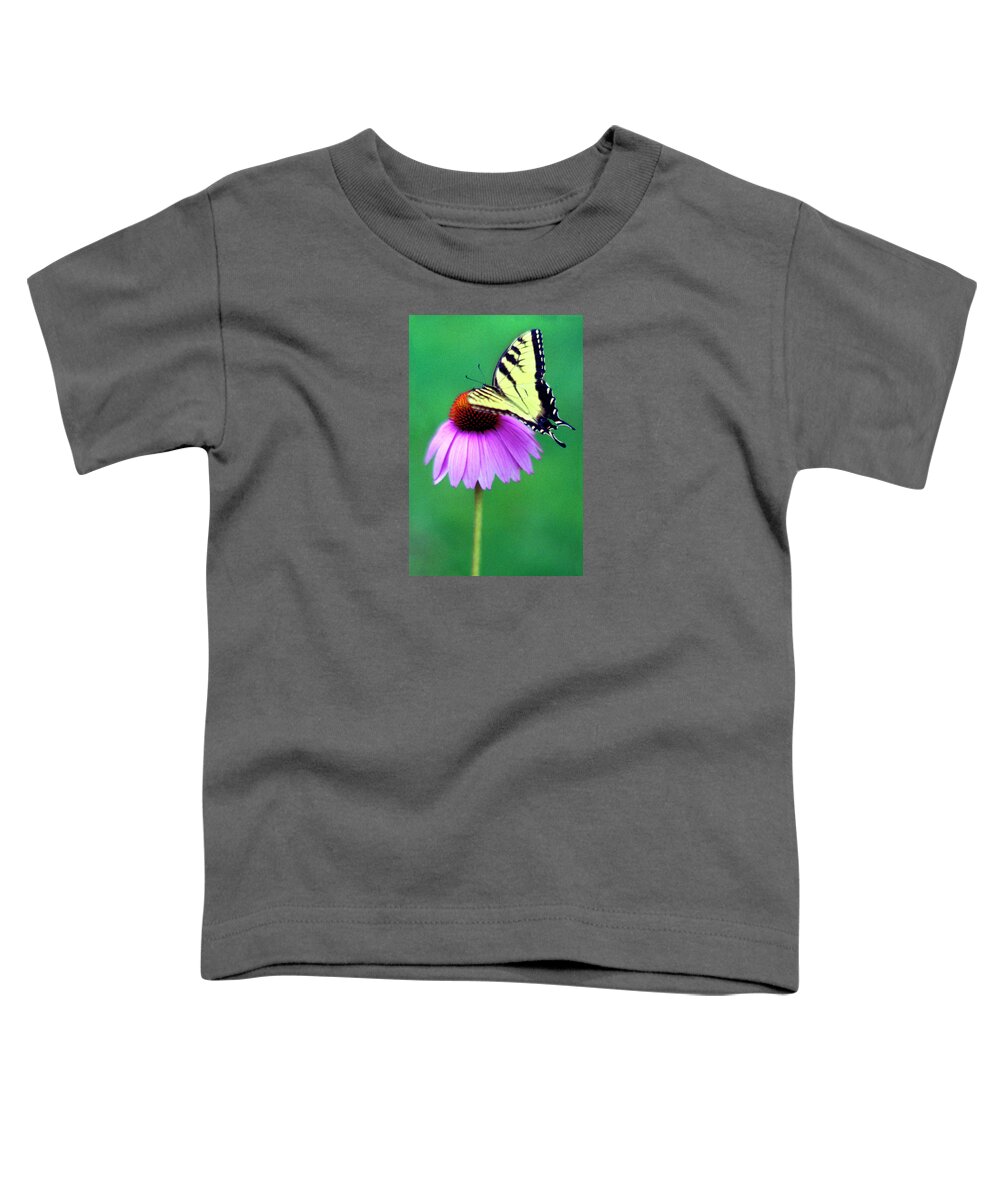 Butterfly Toddler T-Shirt featuring the photograph Everlasting by Carole Gordon