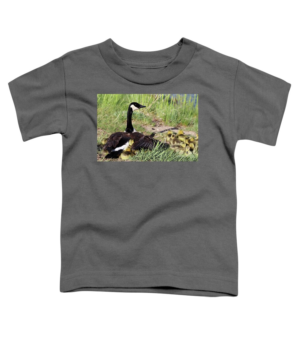 Goose Toddler T-Shirt featuring the photograph Extended Family by Alyce Taylor