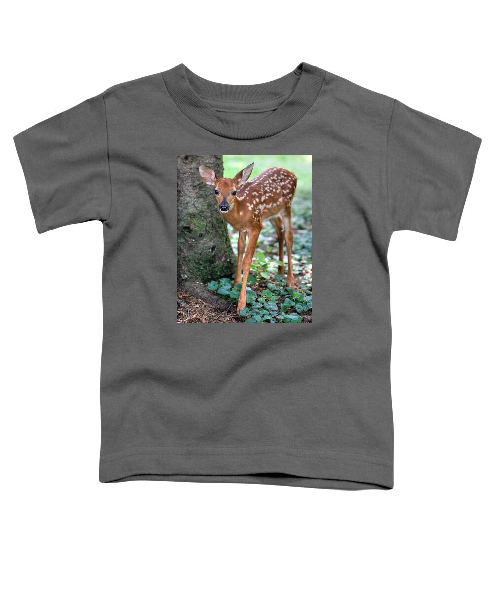 Animal Toddler T-Shirt featuring the photograph Eye To Eye With A Wide - Eyed Fawn by Gene Walls