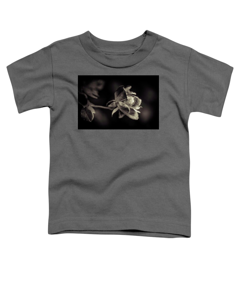 Faded Toddler T-Shirt featuring the photograph Faded Beauty by Allin Sorenson