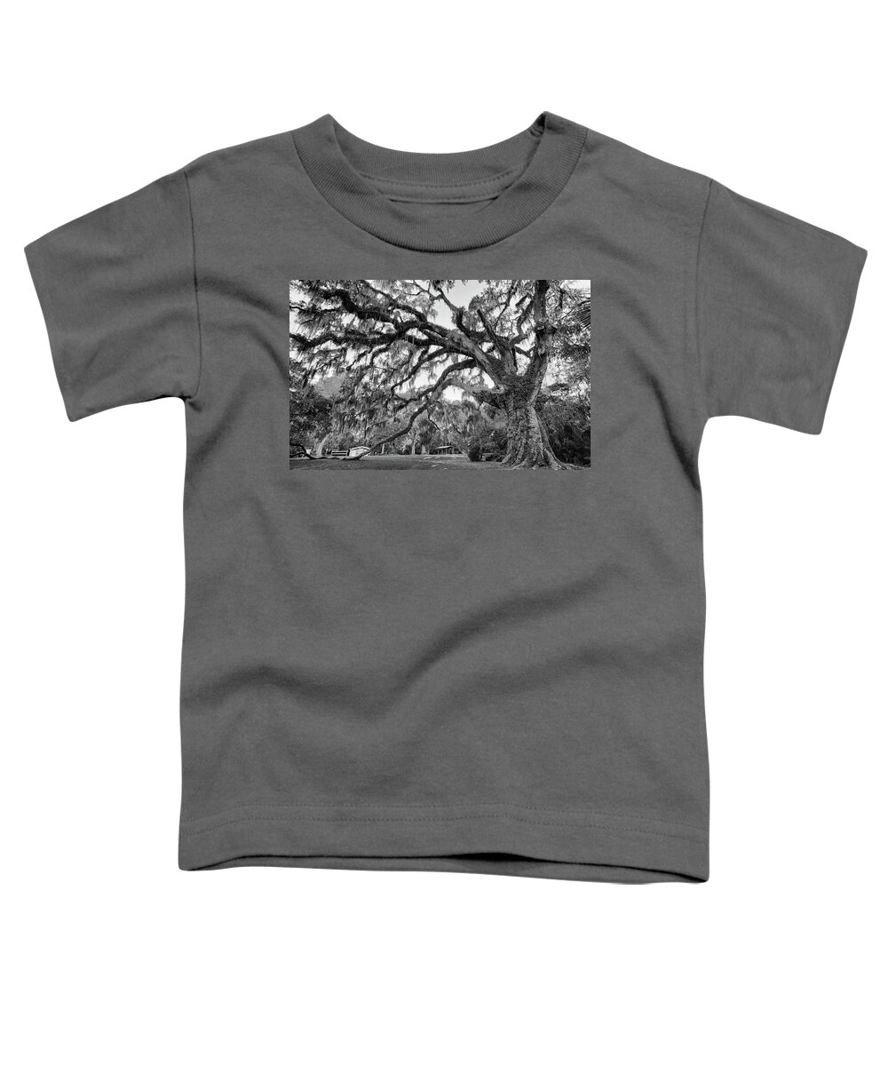 Fairchild Toddler T-Shirt featuring the photograph Fairchild Tree by Dillon Kalkhurst