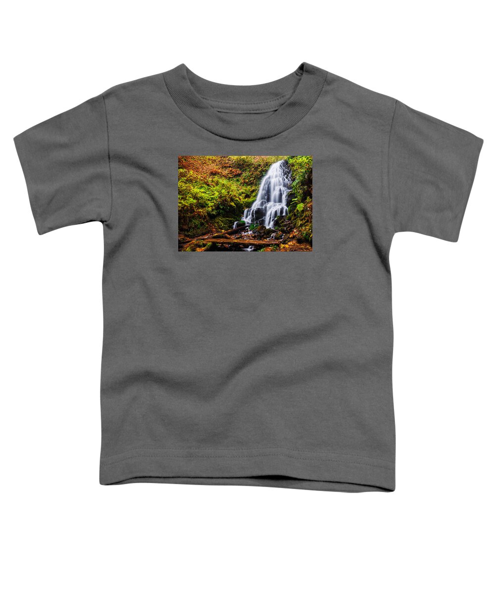 Fairy Falls Toddler T-Shirt featuring the photograph Fairy Falls in autumn in Columbia River Gorge Oregon by Vishwanath Bhat