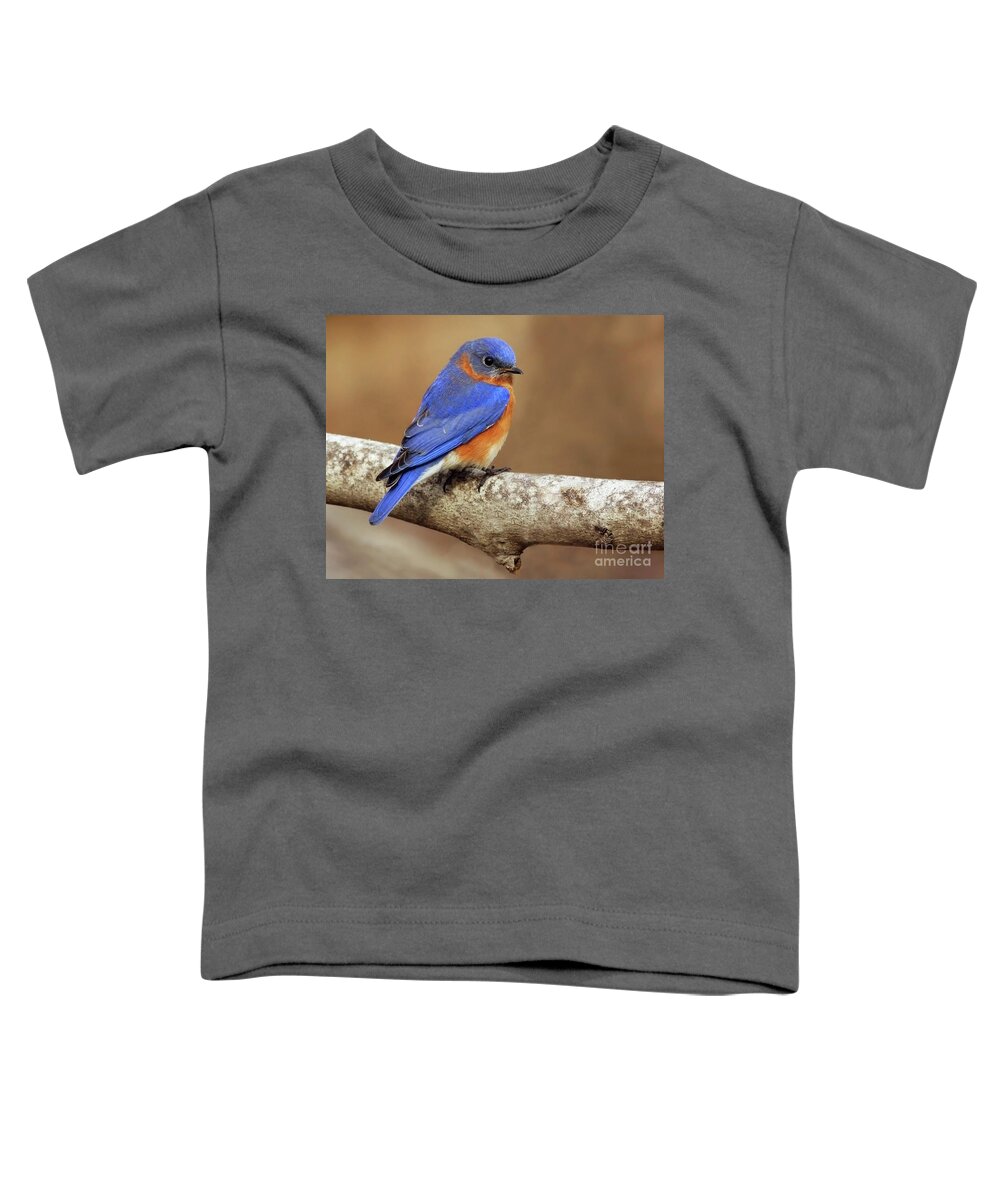 Eastern Bluebird Toddler T-Shirt featuring the photograph Fall Blue by Art Cole