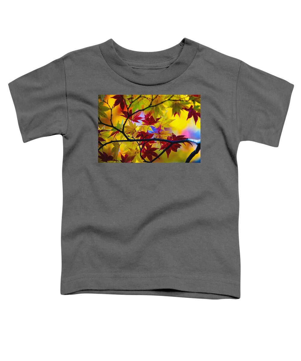 Fall Color Toddler T-Shirt featuring the photograph Fall Color - Japanese maple by Hisao Mogi