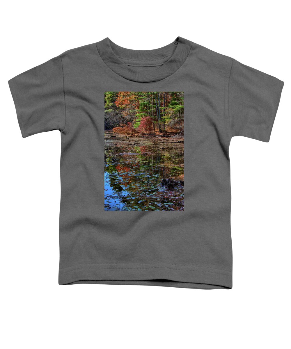 #jefffolger Toddler T-Shirt featuring the photograph fall colors abound in Harold Parker Sate Forest by Jeff Folger