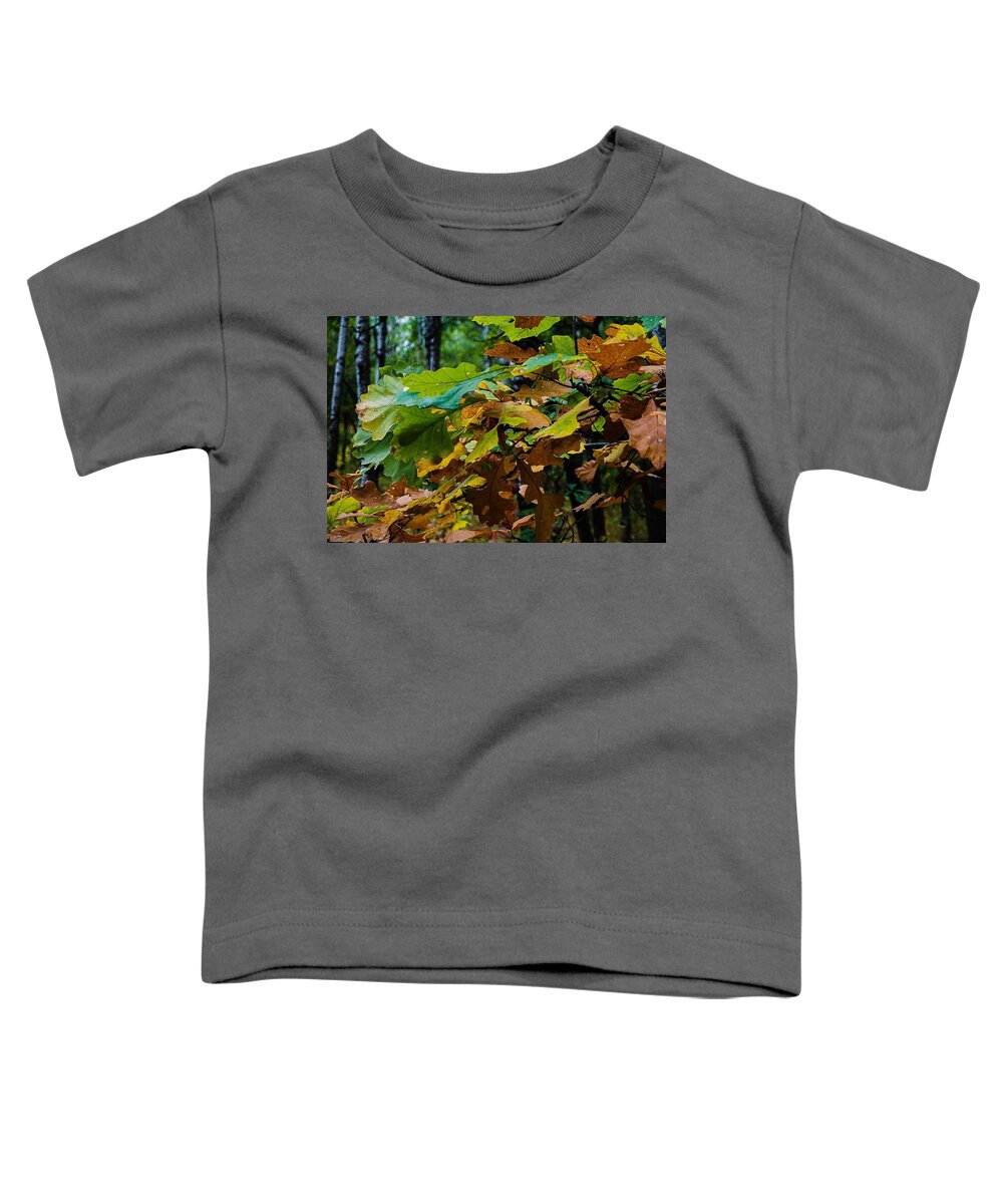 Fall Photograph Toddler T-Shirt featuring the photograph Fall Foilage by Desmond Raymond