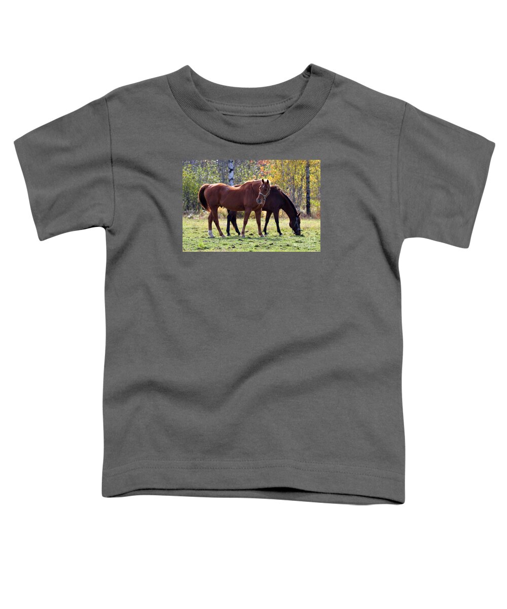 Horse Toddler T-Shirt featuring the photograph Horses Fall Grazing by Glenn Gordon