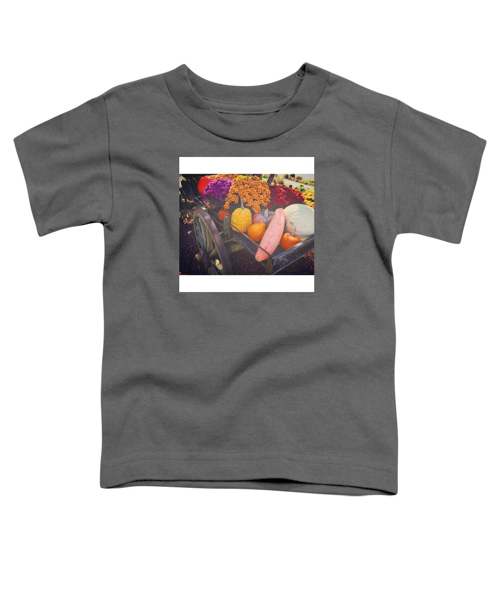 Fall Toddler T-Shirt featuring the photograph Fall arrangement by Haley Church