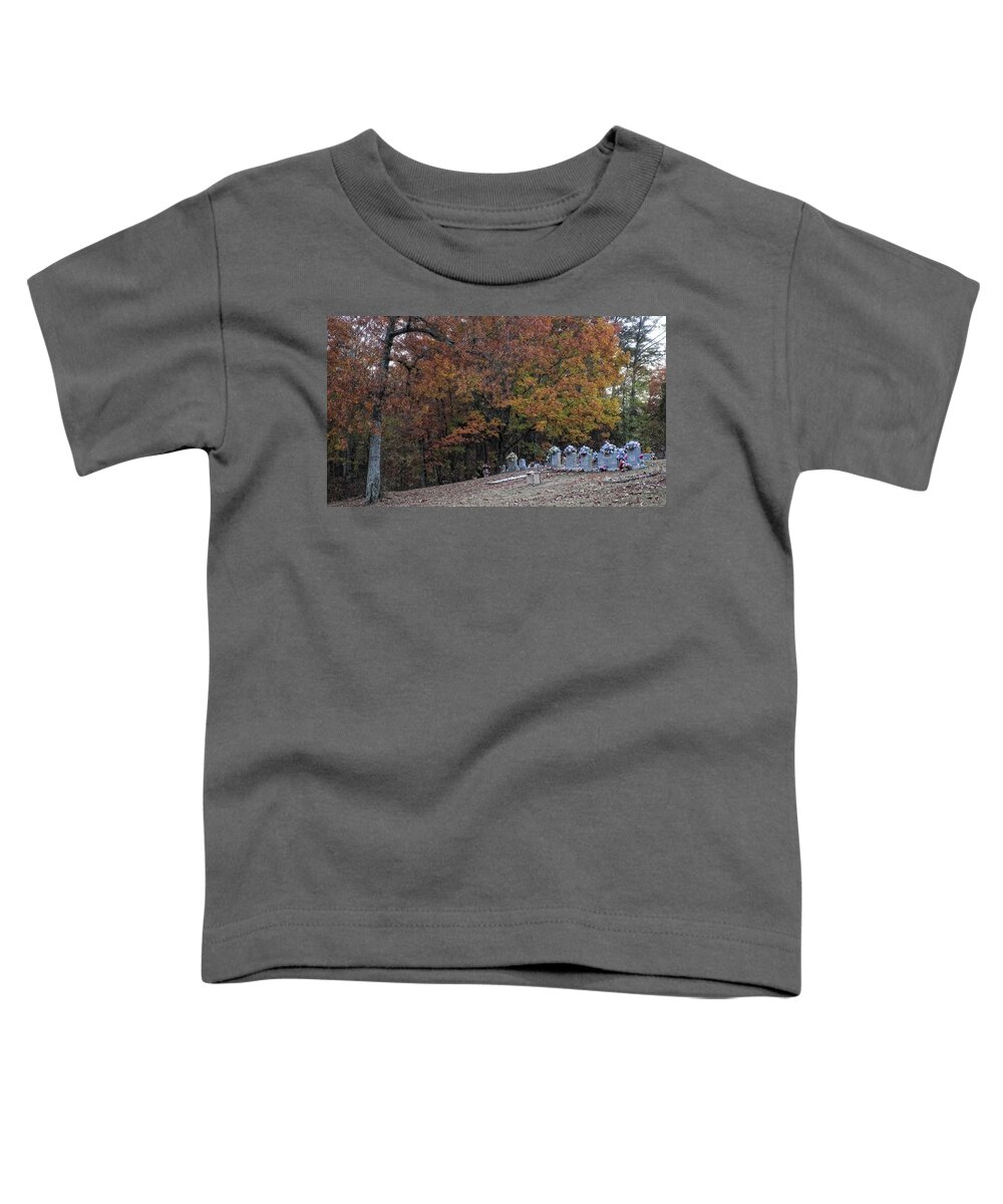 Cemetery Toddler T-Shirt featuring the photograph Fall in the Cemetery by George Taylor