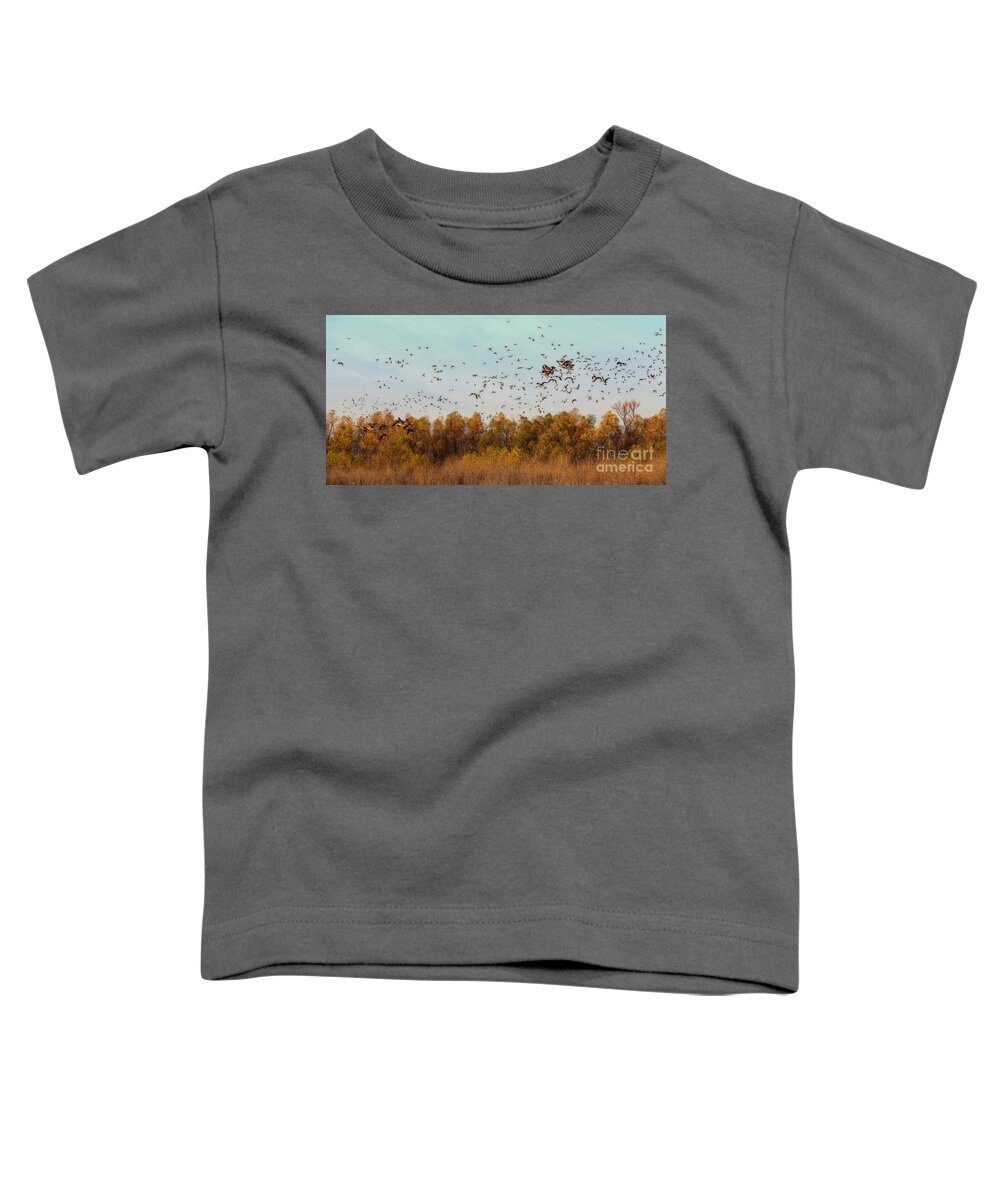 Duck And Geese Migration Toddler T-Shirt featuring the photograph Fall Migration by Elizabeth Winter