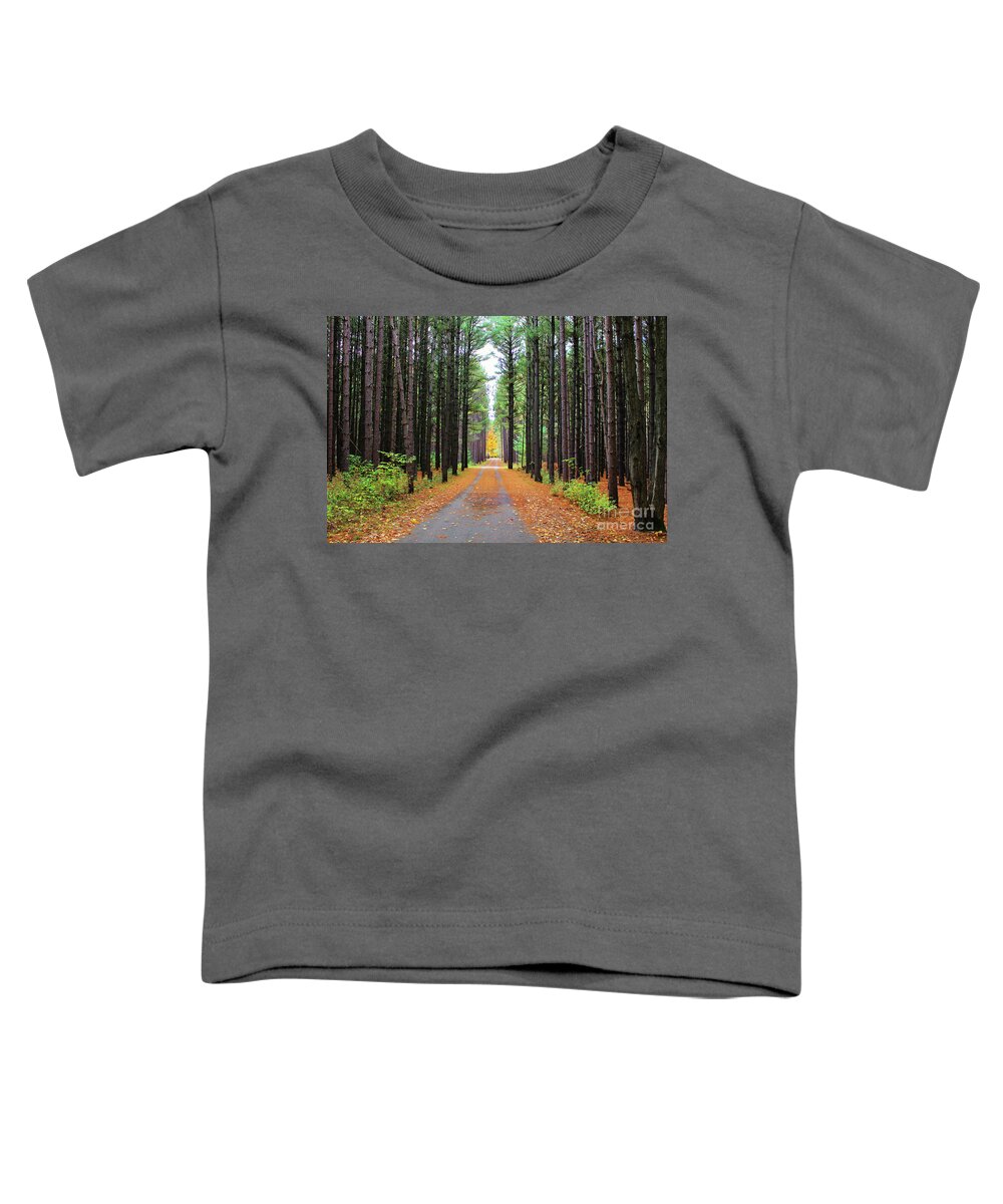 Fall Toddler T-Shirt featuring the photograph Fall Pines Road by Laura Kinker